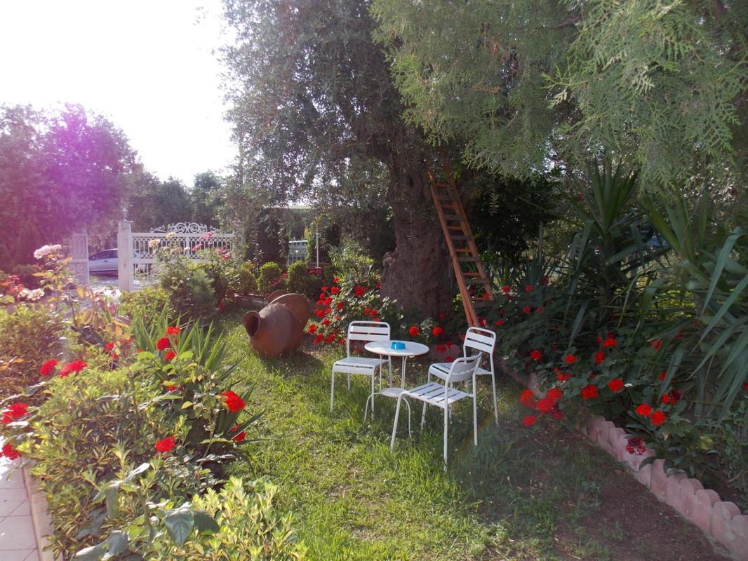 Ioli Apartments 萨索斯 外观 照片